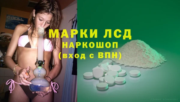 прущие грибы Краснослободск
