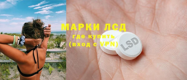 прущие грибы Краснослободск
