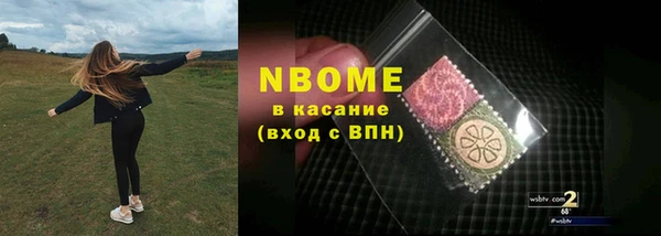 прущие грибы Краснослободск