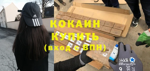 прущие грибы Краснослободск