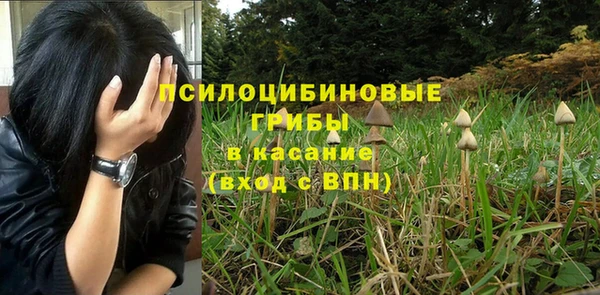 спиды Красноперекопск