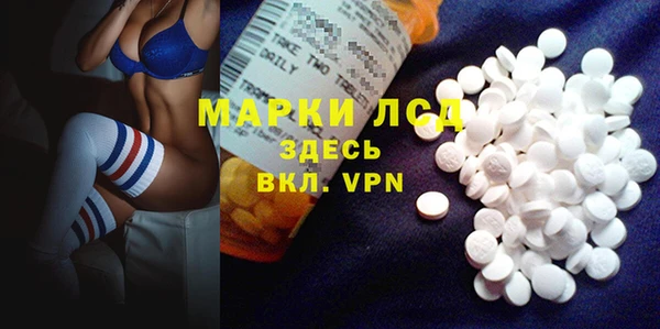 прущие грибы Краснослободск
