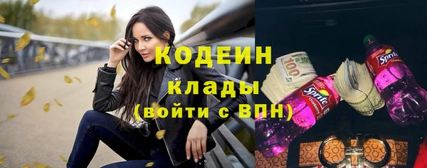 прущие грибы Краснослободск